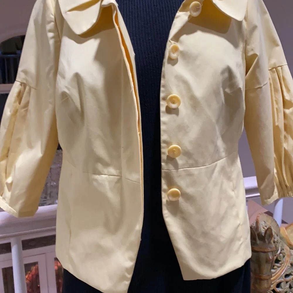 Yellow jacket 🐝 - Picture 6 of 8